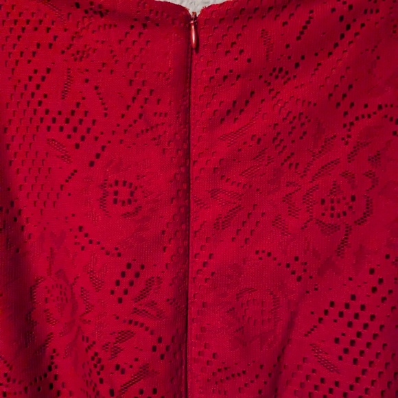 Danny & Nicole Ruby Red 3/4 Sleeve Dress Striped Floral Lace Midi Sz. 10 - Picture 13 of 16